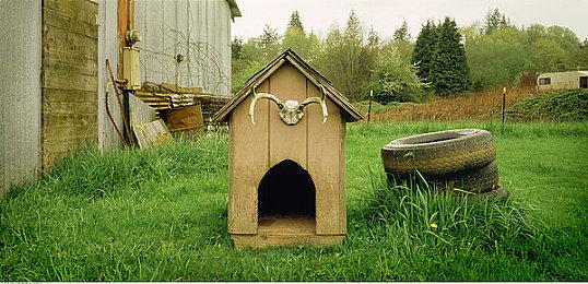 一起去打高尔夫吧！《高尔夫小游记》将于10月14日发售